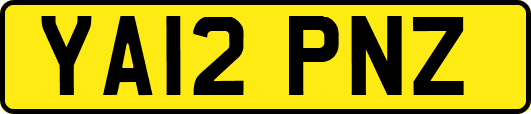YA12PNZ