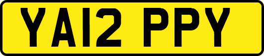 YA12PPY