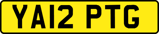 YA12PTG
