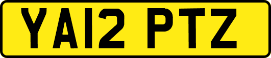 YA12PTZ