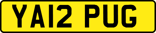 YA12PUG