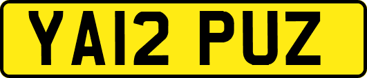 YA12PUZ