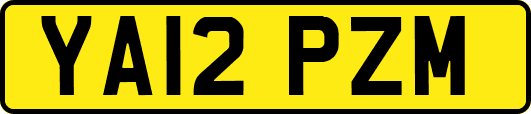 YA12PZM