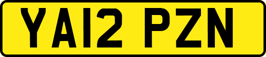 YA12PZN
