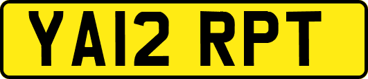 YA12RPT