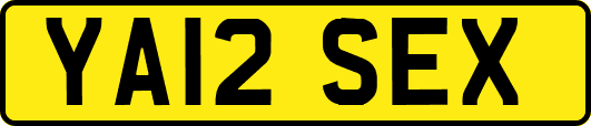 YA12SEX