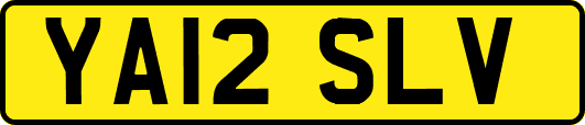 YA12SLV