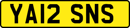 YA12SNS