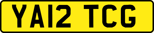 YA12TCG