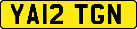 YA12TGN