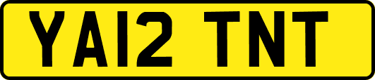 YA12TNT