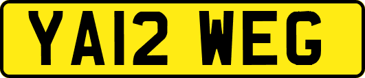 YA12WEG