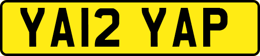 YA12YAP