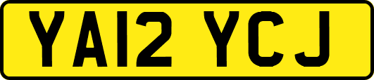 YA12YCJ