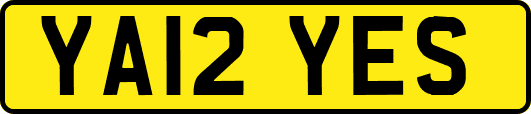 YA12YES