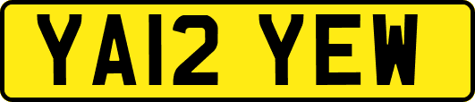 YA12YEW