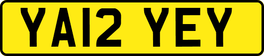 YA12YEY