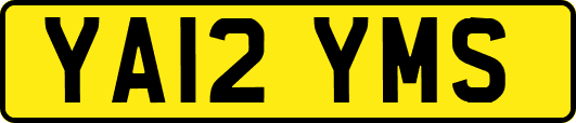 YA12YMS