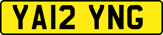 YA12YNG