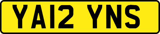 YA12YNS