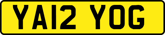 YA12YOG