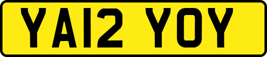 YA12YOY