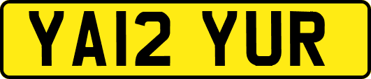 YA12YUR
