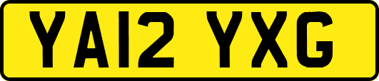YA12YXG