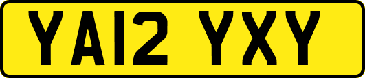 YA12YXY
