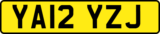 YA12YZJ