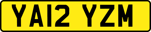 YA12YZM