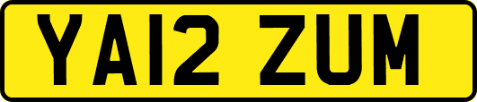 YA12ZUM