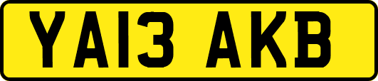 YA13AKB