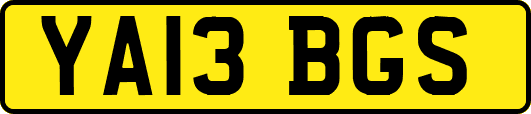YA13BGS