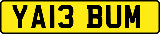 YA13BUM