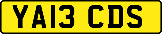 YA13CDS