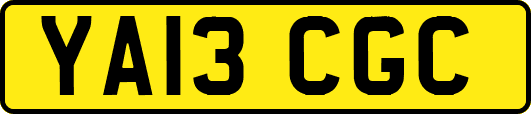 YA13CGC