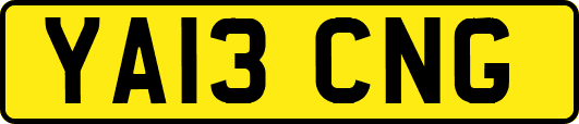 YA13CNG
