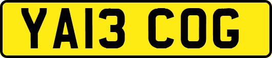 YA13COG