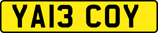YA13COY