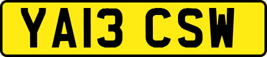 YA13CSW