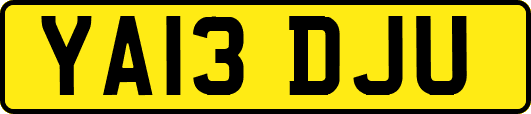 YA13DJU