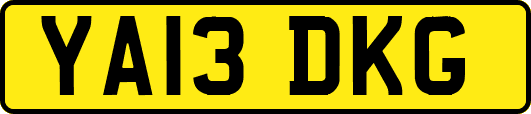 YA13DKG