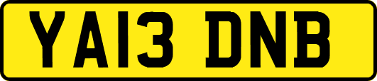 YA13DNB