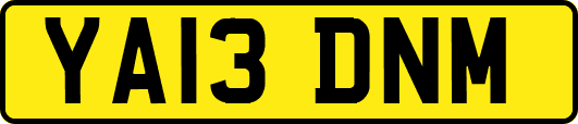 YA13DNM