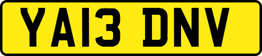 YA13DNV
