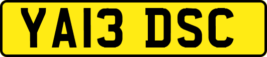 YA13DSC