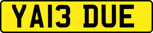 YA13DUE