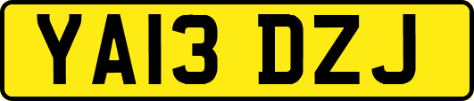 YA13DZJ
