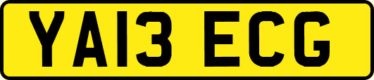 YA13ECG